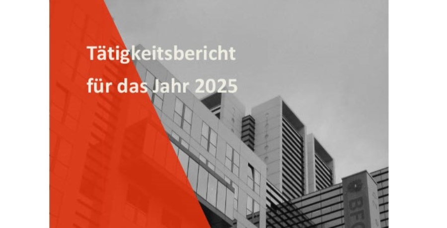 BFG Tätigkeitsbericht 2025